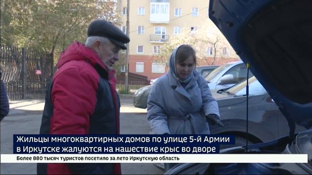 Крысы в городе. В одном из дворов в самом центре Иркутска грызуны не дают спокойно жить людям