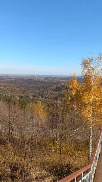 Белая гора Пермской области. Омовение в купели. Бескрайние просторы. Ольга Шайморданова. МНШУ
