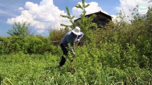 Россия мои горизонты 9.10.25г Видеоролик № 3 об образовании (6 класс)