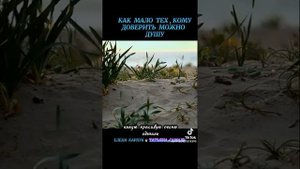 VID-20251007-WA0033.mp4