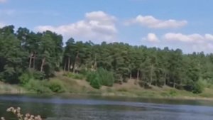 Пруд в Заречном около деревни Лебедевка под Грахово