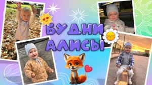 Будни Алисы! Алиса полетела на море, держала в руках ящерицу, летела в самолете!