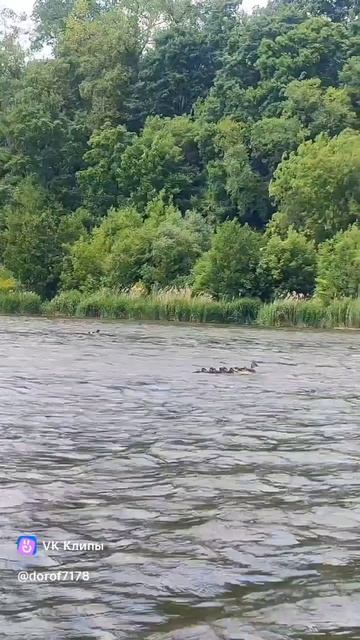 Сплав с сыном по реке Оке на байдарке Шуя-2 / город Орёл и его окрестности #сплав #шуя2 #гребля #ока