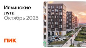 Ильинские луга