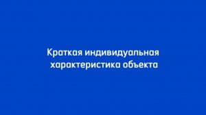 Краткая индивидуальная характеристика объекта