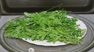 Морковная ботва на зиму