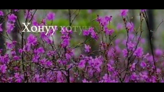 Ходоро ТВ иккис биэриитэ