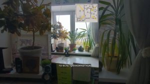 Обзор на квартиру по адресу: г. Ижевск, Проспект Калашникова, д.1