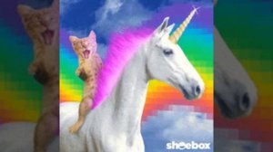 VID-20250410-WA0043.mp4