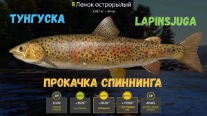 НОВОЕ!!! Нижняя Тунгуска!!! Фарм на мелкие приманки!!! Невероятный клев