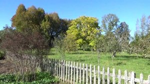 Заповедник Михайловское.8 октября 2025 года.