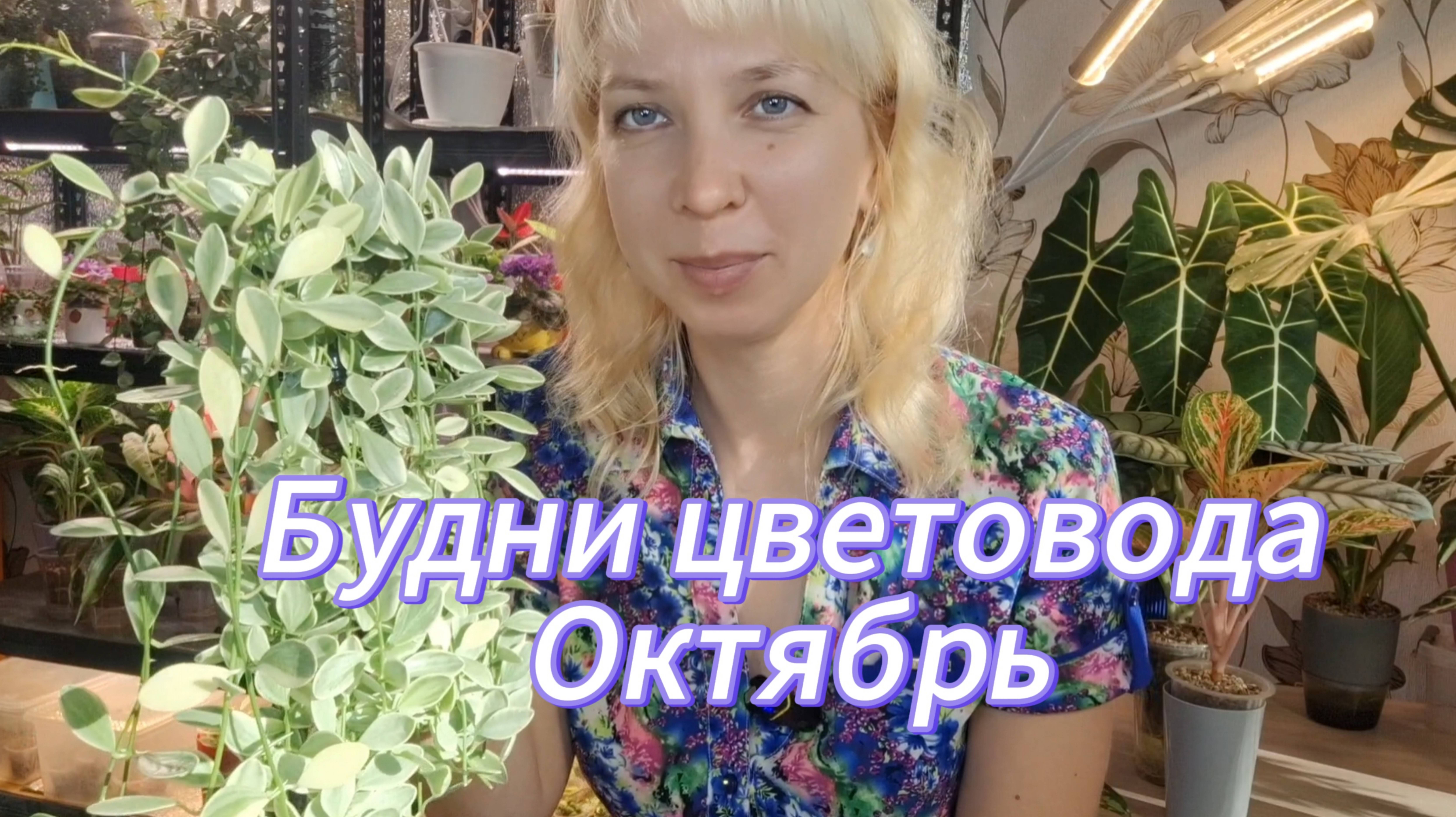 Будни цветовода. ОКТЯБРЬ