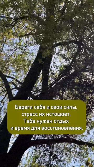 Как научится отдыхать ?
