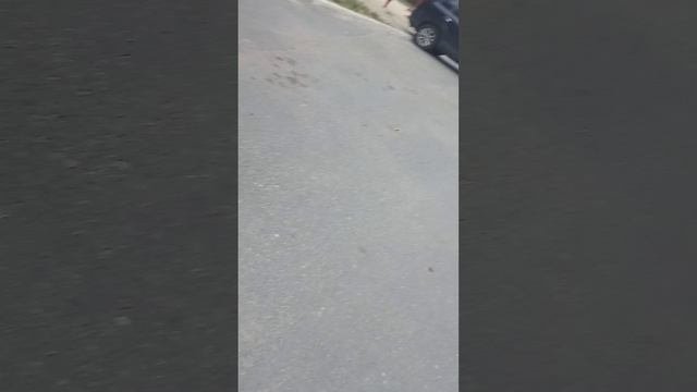 мы на заброшке