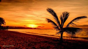 41 УСЫПЛЯЮЩАЯ МУЗЫКА ДЛЯ СНА И МЕДИТАЦИЙ