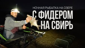 Фидер на Свири. Ночная рыбалка в разгар бабьего лета. Почему не клюет лещ
