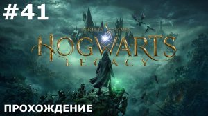 ИГРАЕМ В HOGWARTS: LEGACY| #41 СОКРОВИЩЕ ГЕНРИЕТТЫ + ГОНКИ НА МЫСЕ