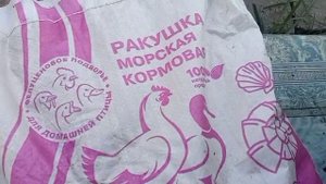РАЗВЕЛА МНОГО КУР,А ПРОКОРМИТЬ НЕ МОГУ.Жизнь в русской деревне.