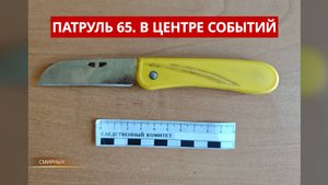 ПАТРУЛЬ 65: Оха в огне, наркодилер из Кемерово и самокатчик-смертник. Происшествия Сахалина 08.10.25