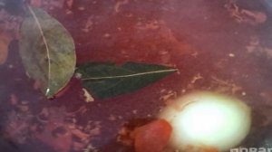 Молочный суп с томатами