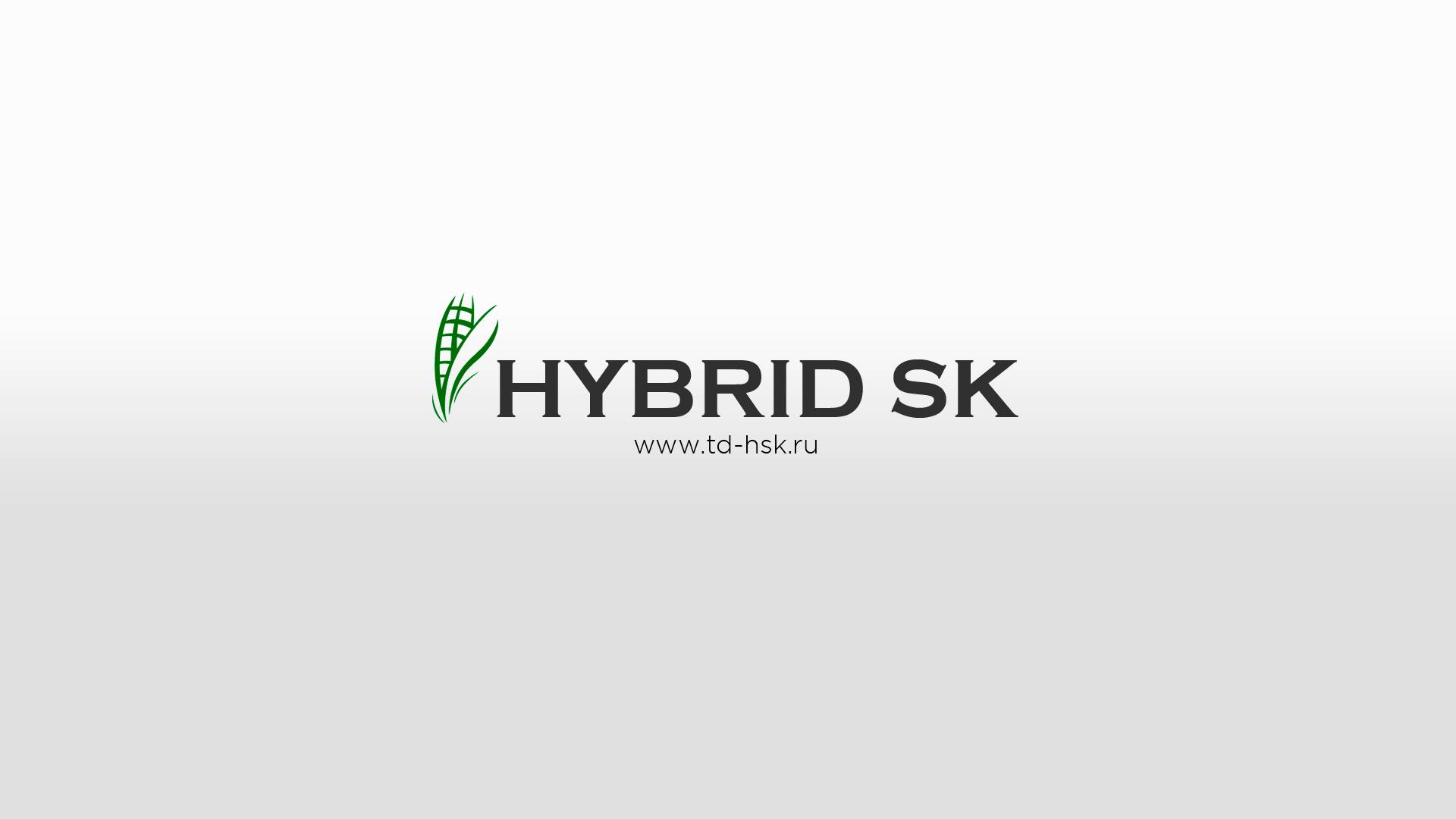 Группа компаний HYBRID SK. Производство семян гибридов кукурузы PREMIUM QUALITY.