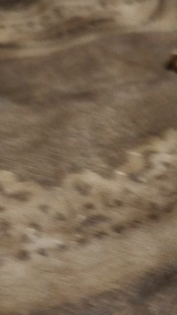 новый монстр Р.И. смотреть онлайн