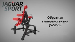 Обратная гиперэкстензия JAGUAR-SPORT JS-SP-55