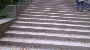 Санкт-Петербург, Павловск, Павловский парк - 02.10.2025