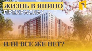 ЯНИНО|СРАВНИВАЕМ ДВА КОМПЛЕКСА:ЖК РАСЦВЕТАЙ И ЖК ЯСНО.ЯНИНО|ВЗЯЛИ ИНТЕРВЬЮ У ЖИЛЬЦОВ|ОТКРЫЛИ ДОРОГУ