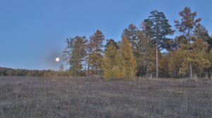 Вой волков на Сказе в полнолуние.