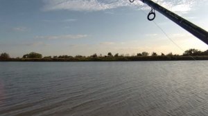 Вечерний выезд на карася не плохо отловился по карасю выезд на 2 часа