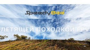 DJI O4 SpeedyBee Mario 5
