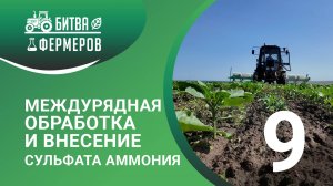 Междурядная обработка и внесение сульфата аммония. Битва фермеров. Серия 9