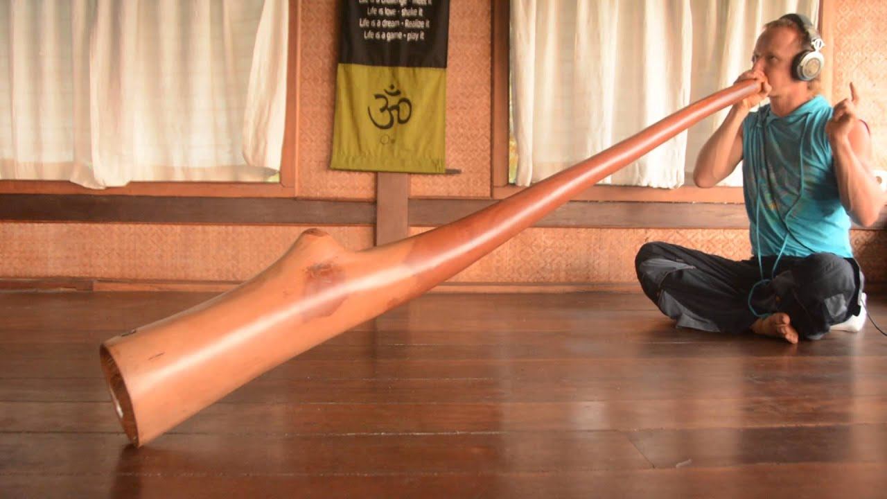 DIDGERIDOO FROM AUSTRALIAN BLOOD WOOD EVCALIPTUS KEY D MODEL PIP