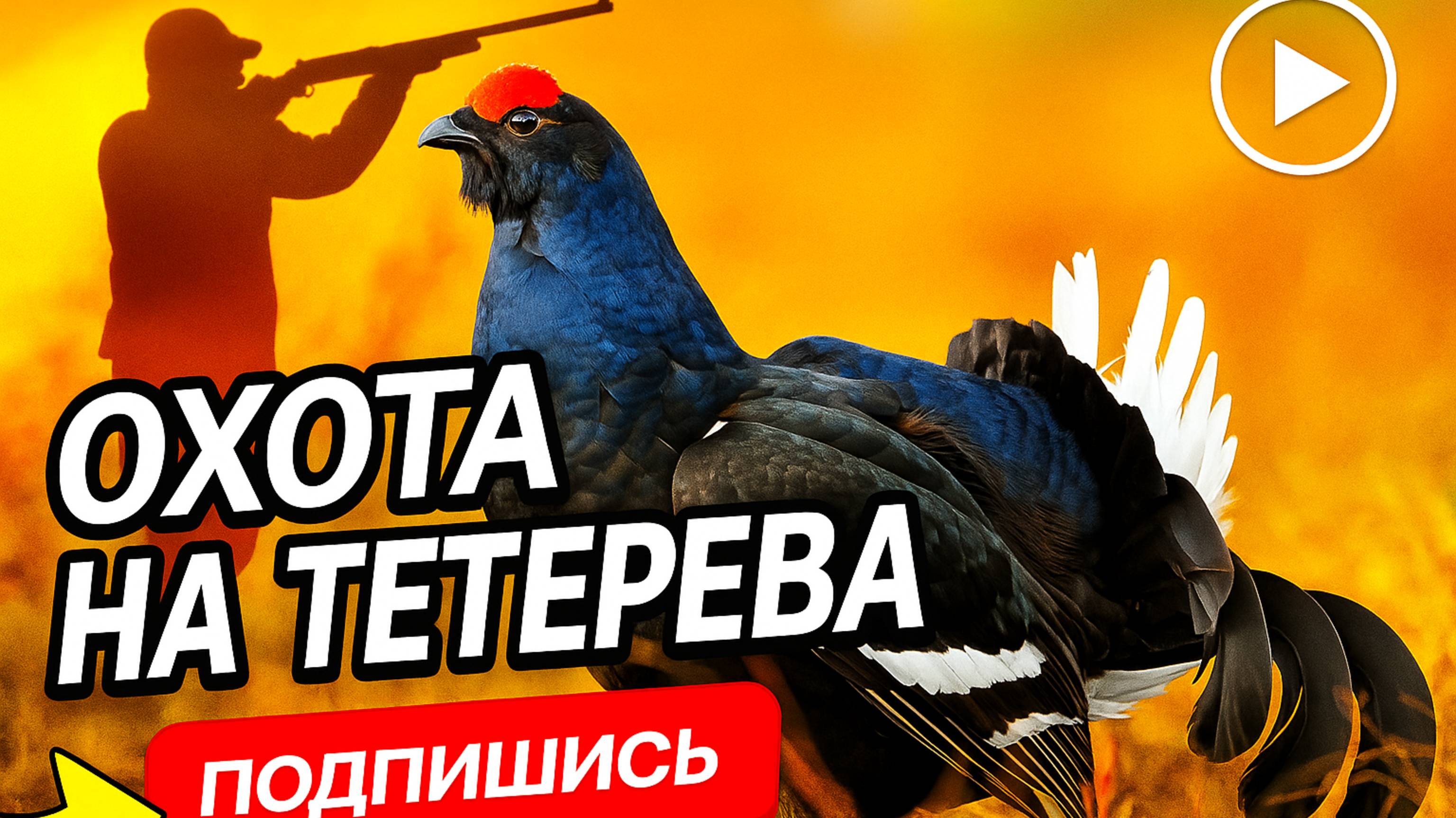 Тетерев на чучелах!