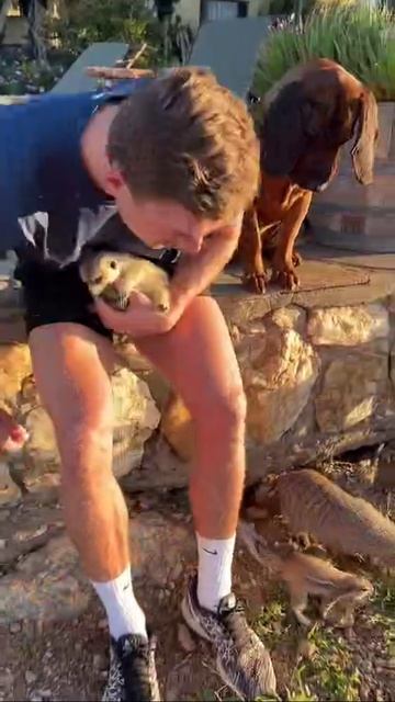 VID_20251008_055315_342.mp4