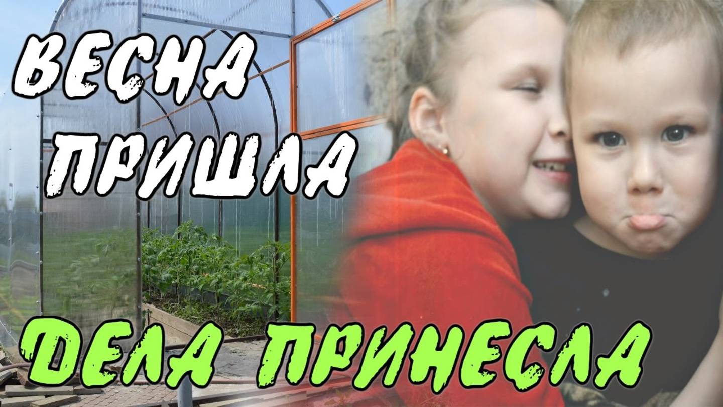 🌿 VLOG: ТЕПЛИЦА, РАССАДА, ОГОРОД, ЦВЕТЫ, ДЕТИ смотреть онлайн