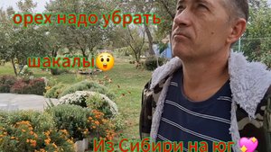 08-10-2025Переезд из Сибири на юг 💖/Купили дом на юге/Работаем в выходные/Участок радует/