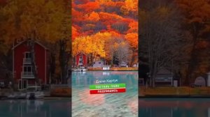 🔴 В подворотне осень танцевала 🤗🥰❤️🙏🏻🍁🍂🍁