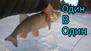 РЫБАЛКА НА КОСЫНКИ. ПЕРВЫЙ ТРОФЕЙ. С ОТЦОМ НА РЕКЕ.