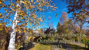 Комсомольск-на-Амуре. Осенняя дорога 2025