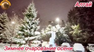 Очарование зимней сказки осенью 06.10.2025 г.