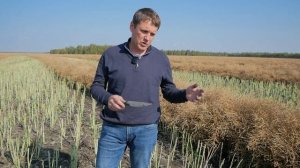 Сидеральный пар. Насколько он эффективен?