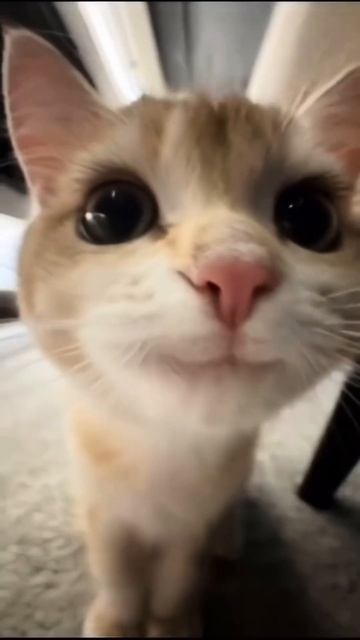 #skincare #уходзажирнойкожей #beauty #skincareroutine #красотаназдоровье #акне смотреть онлайн