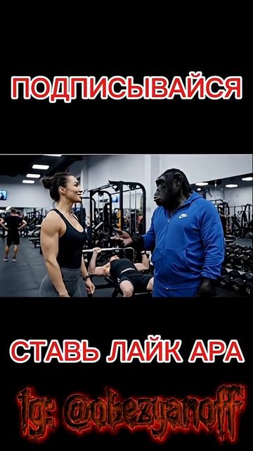 Братья Обезьяновы работают фитнес тренерами смотреть онлайн