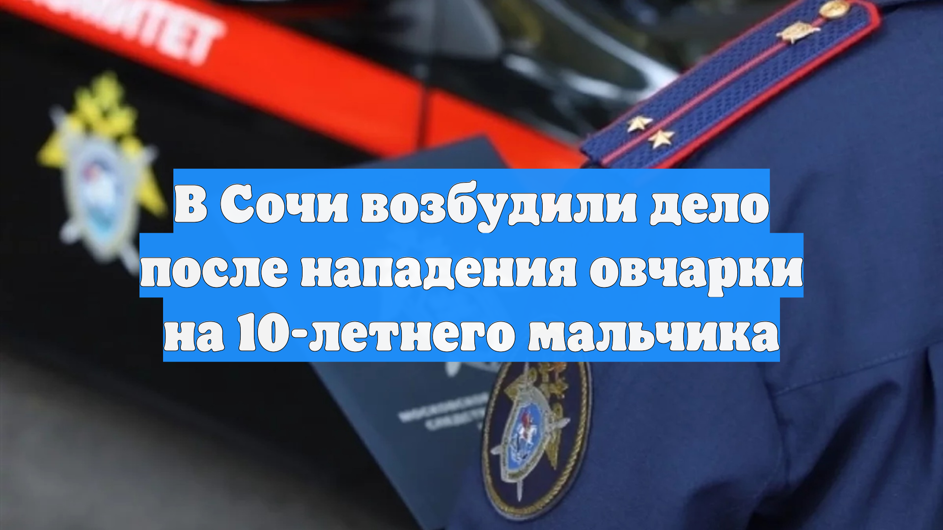 В Сочи возбудили дело после нападения овчарки на 10-летнего мальчика