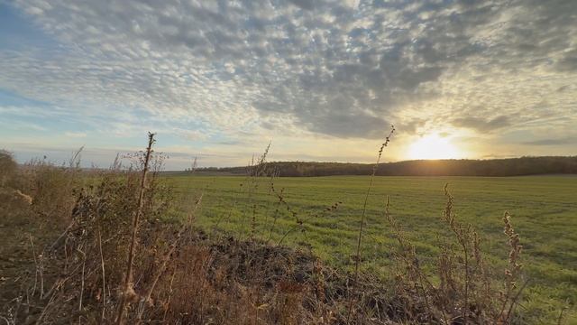 Охота на благородного оленя в Самарской области с тактическим прицелом Arkon Model A 5-30x56