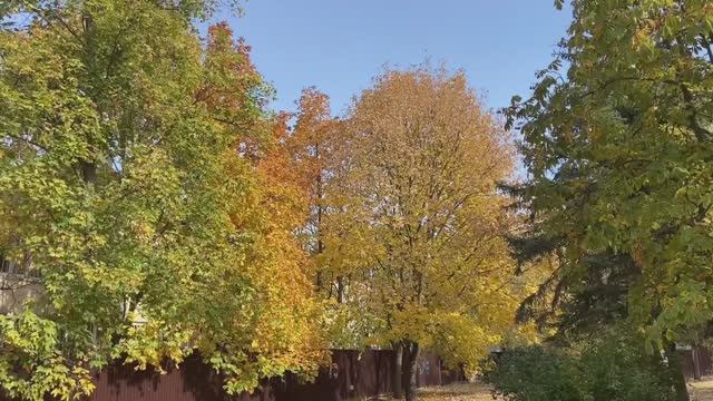 Давайте открывать глаза