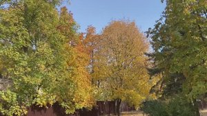 Давайте открывать глаза