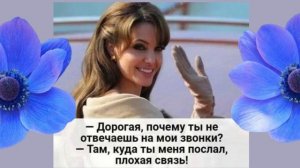 Анекдоты смешные, стало грустно-заходите и смотрите!